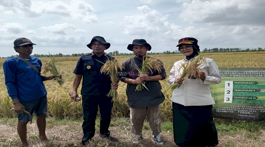 Kompos Lapas Pangkalpinang Terbukti Berkualitas, Dongkrak Hasil Panen Padi Desa Rias