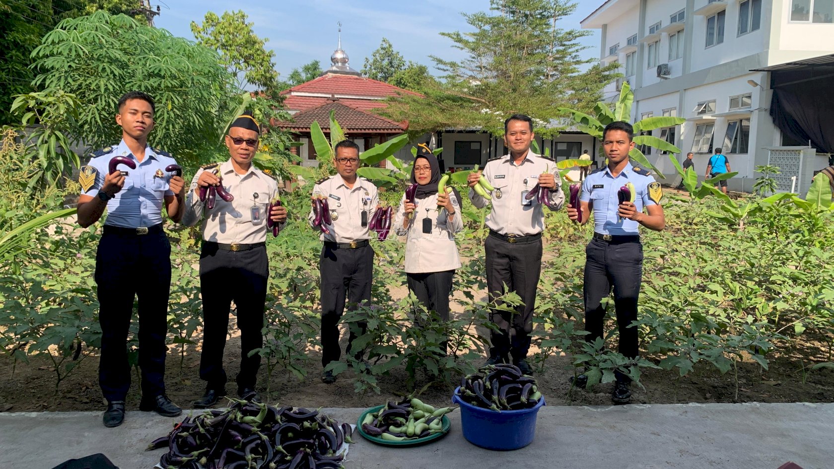 Perkuat Ketahanan Pangan, Bapas Klaten Salurkan 33 Kg Terung ke Lapas Klaten