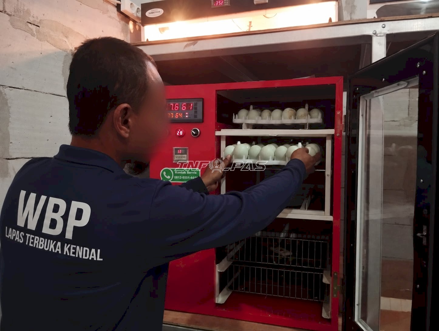 Modernisasi Ketahanan Pangan, Lapas Terbuka Kendal Kembangkan Penetasan Telur Bebek dengan Mesin