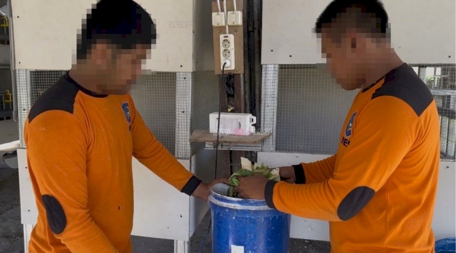 Lapas Terbuka Kendal Optimalkan Produksi Pakan Ternak Fermentasi dengan Mesin Pengaduk