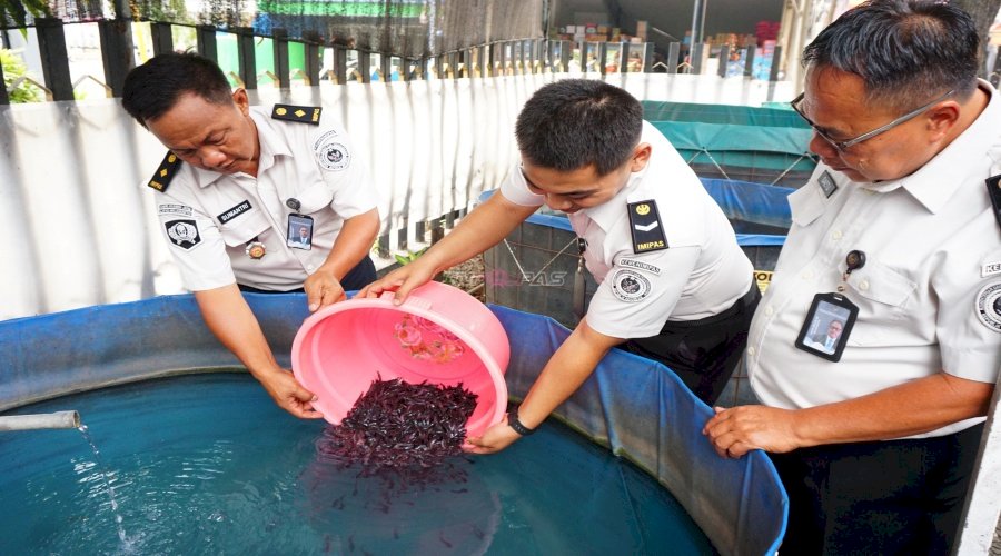 Konsistensi Wujudkan Kemandirian Pangan, Lapas Mojokerto Tebar 12.000 Benih Lele
