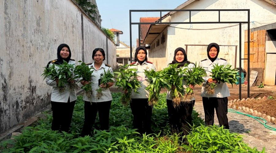 Lapas Perempuan Malang 30 Kg Panen Kangkung, Wujudkan Ketahanan Pangan dan Pembinaan Kemandirian