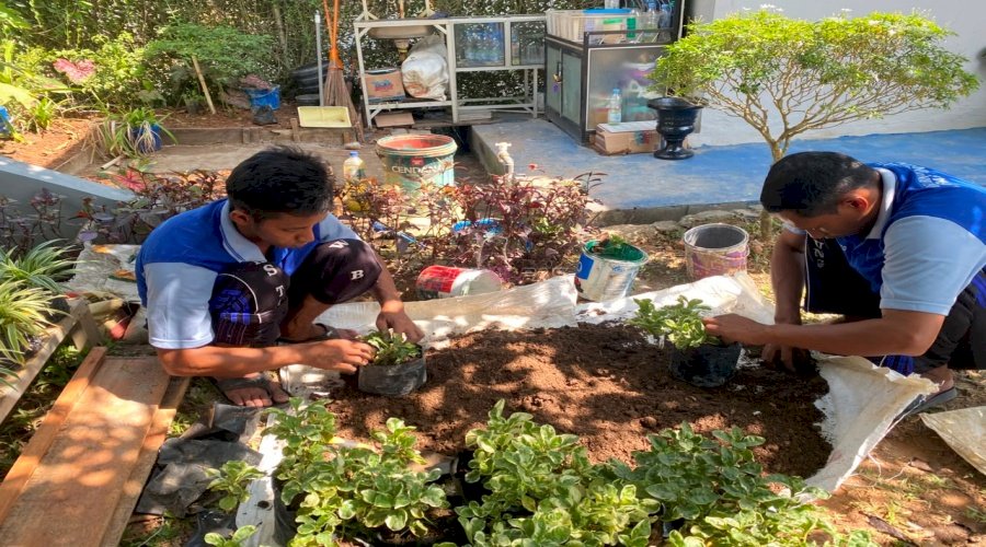 Budidaya Tanaman Hias, Lapas Tanjung Bekali Warga Binaan Keterampilan Bernilai Ekonomi