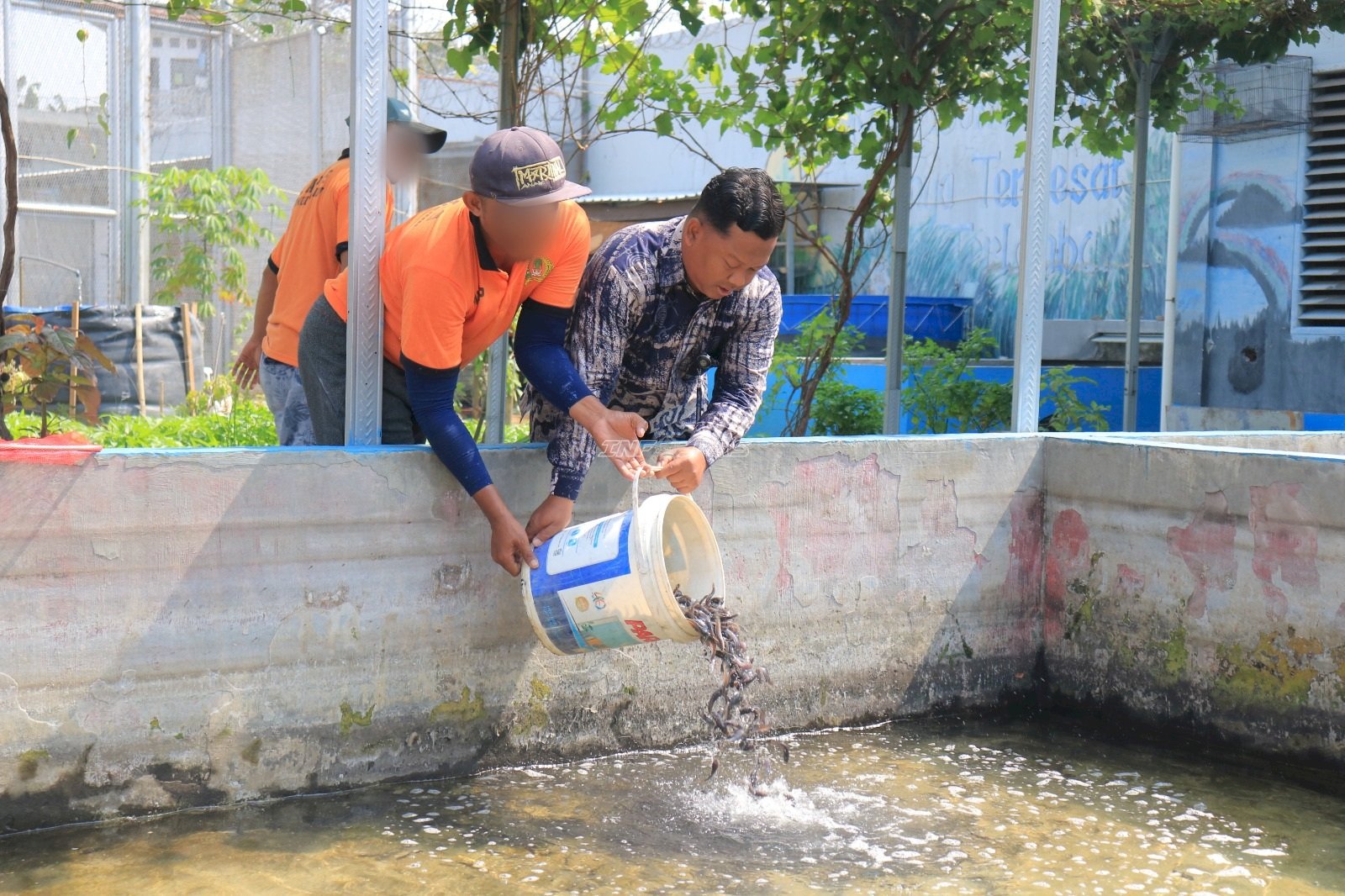Lapas Pemuda Madiun Optimalkan SAE dengan Budidaya 10.000 Benih Lele