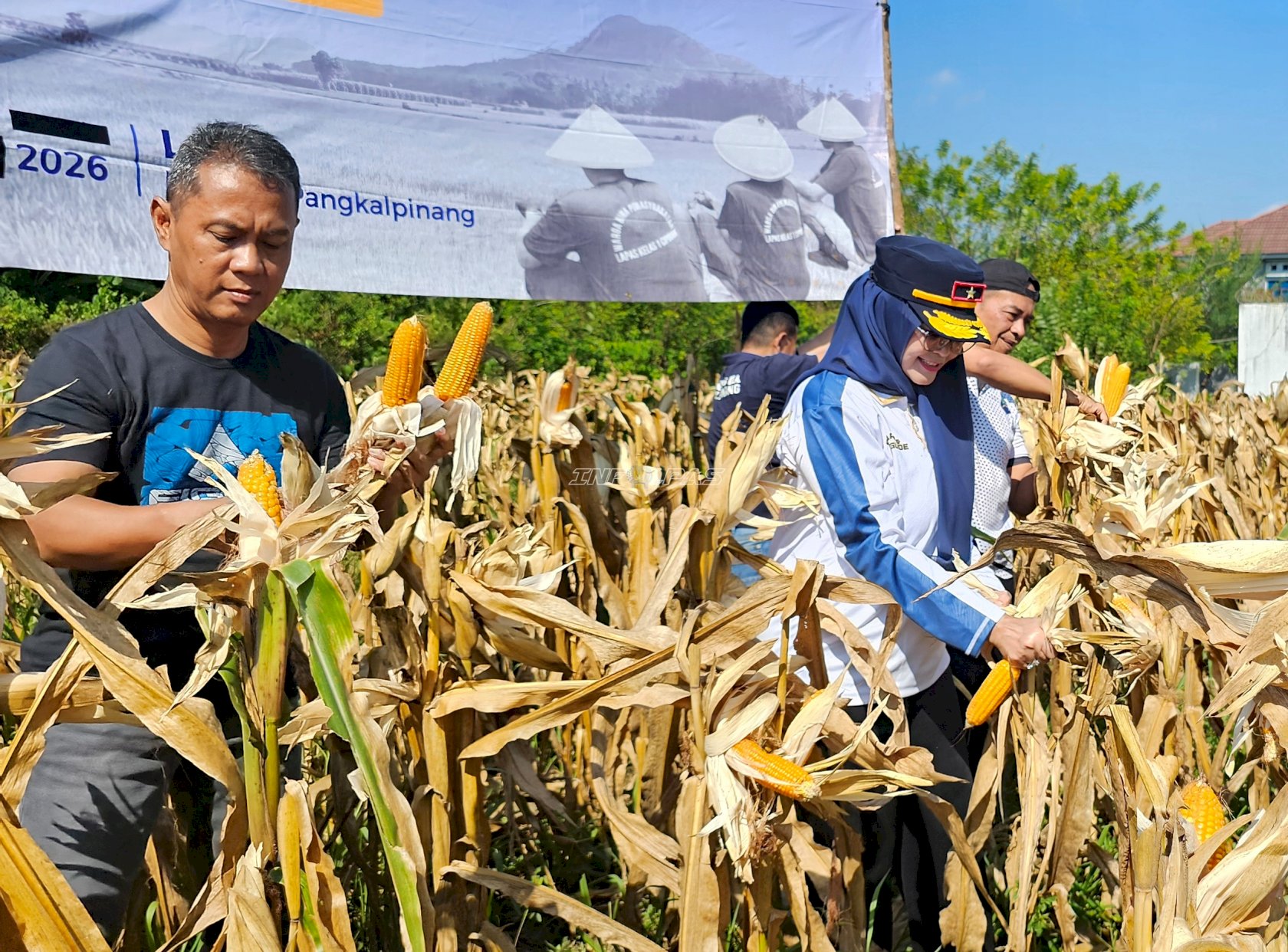 Lapas Pangkalpinang Panen 441 Kg Jagung, Kakanwil Ditjenpas Babel Apresiasi