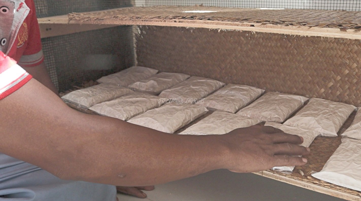 Konsisten Produksi Tempe, Lapas Batulicin Perkuat Pembinaan Kemandirian Berbasis Ketahanan Pangan