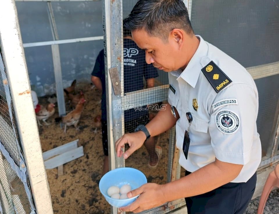 Budidaya Ayam Elba Latih Kemandirian Warga Binaan Lapas Narkotika Karang Intan