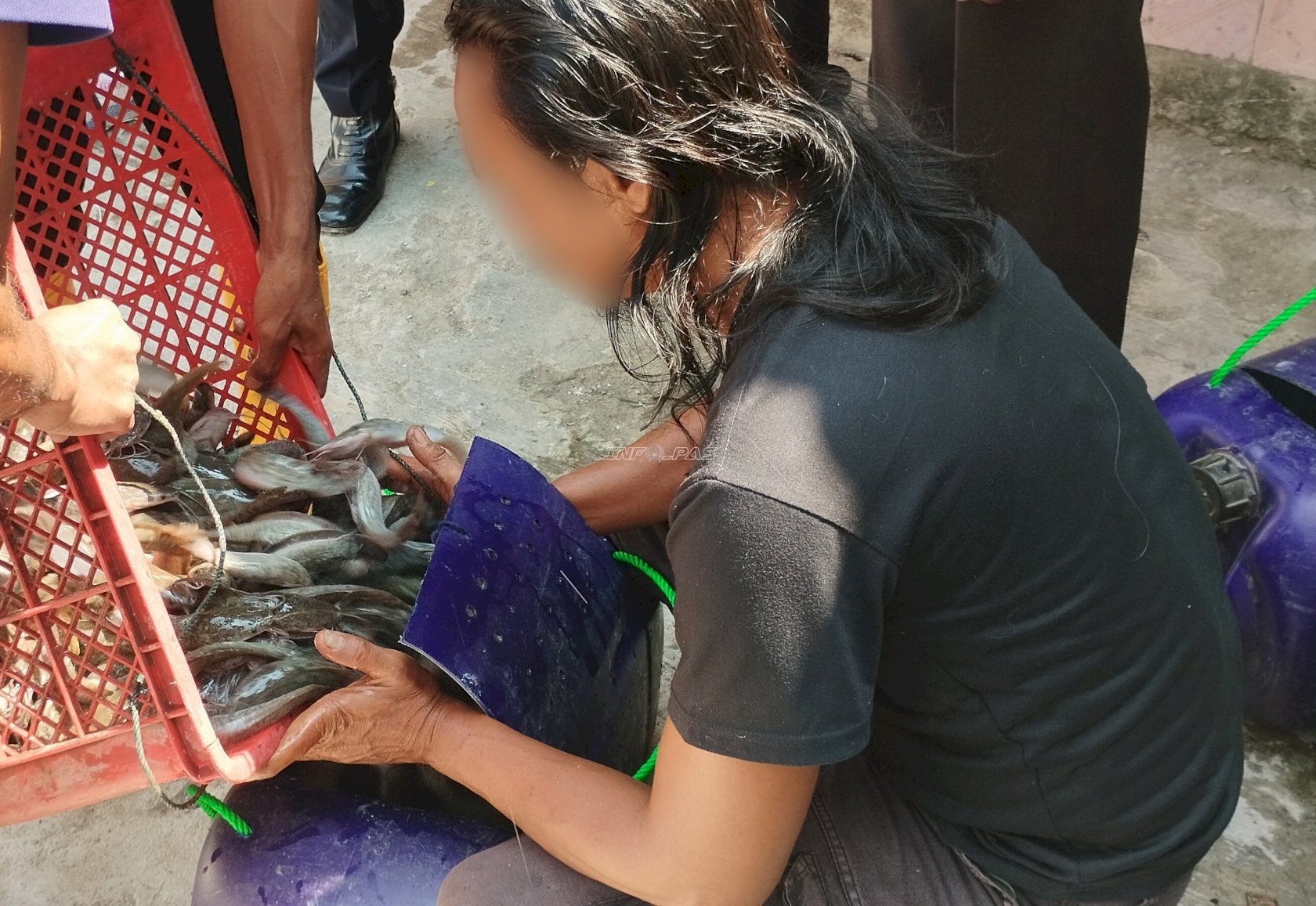 Lapas Brebes Panen 220 Kilogram Lele Hasil Budidaya Warga Binaan