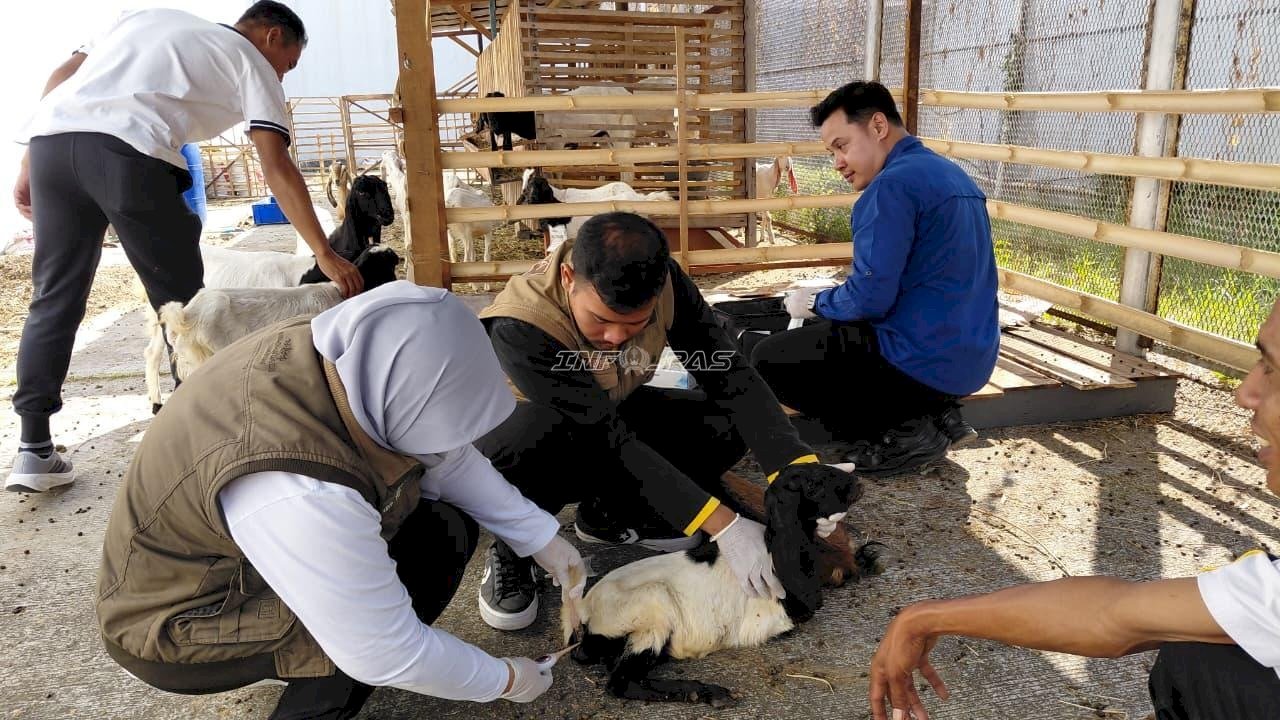 Tingkatkan Kualitas Pembinaan, Lapas Pemuda Madiun Gandeng DKPP Periksa Kesehatan Ternak