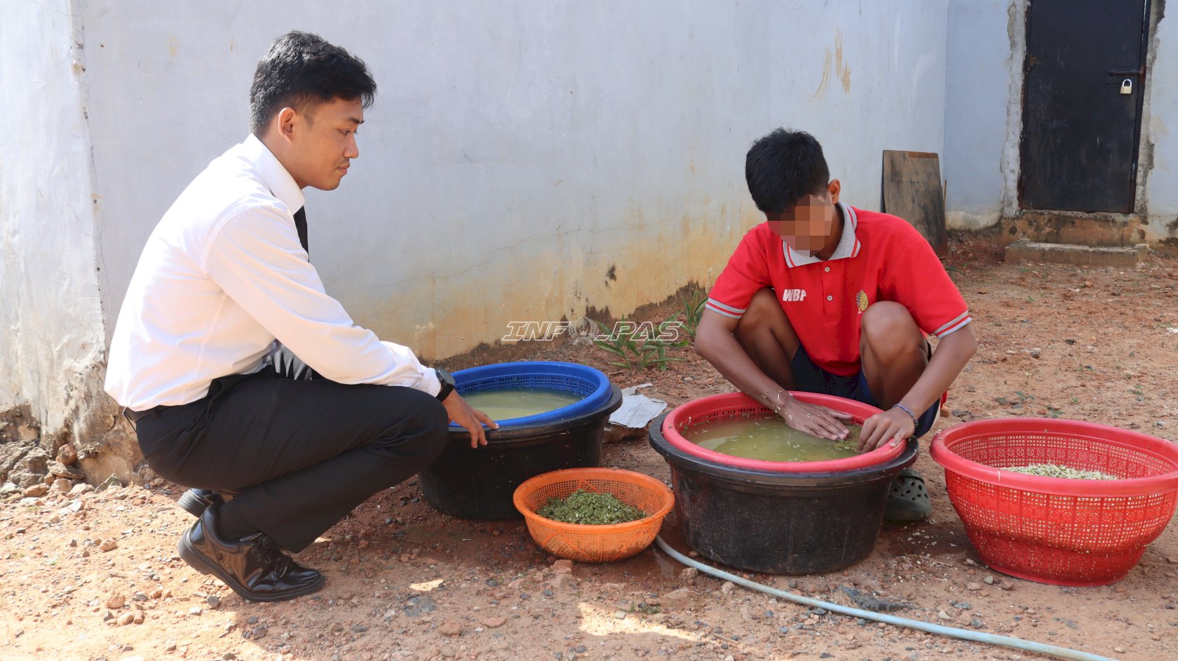 Panen 17 Kg Tauge, Lapas Batulicin Perkuat Ketahanan Pangan