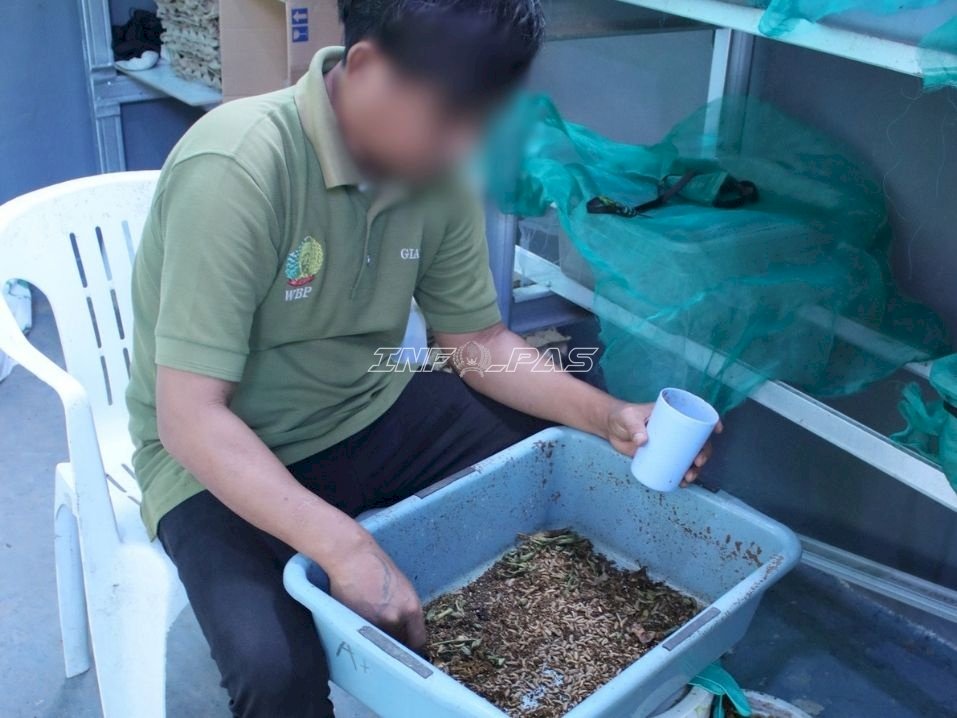 Lapas Banjarmasin Optimalkan Budidaya Maggot Dukung Ketahanan Pangan dan Pembinaan Kemandirian Warga Binaan