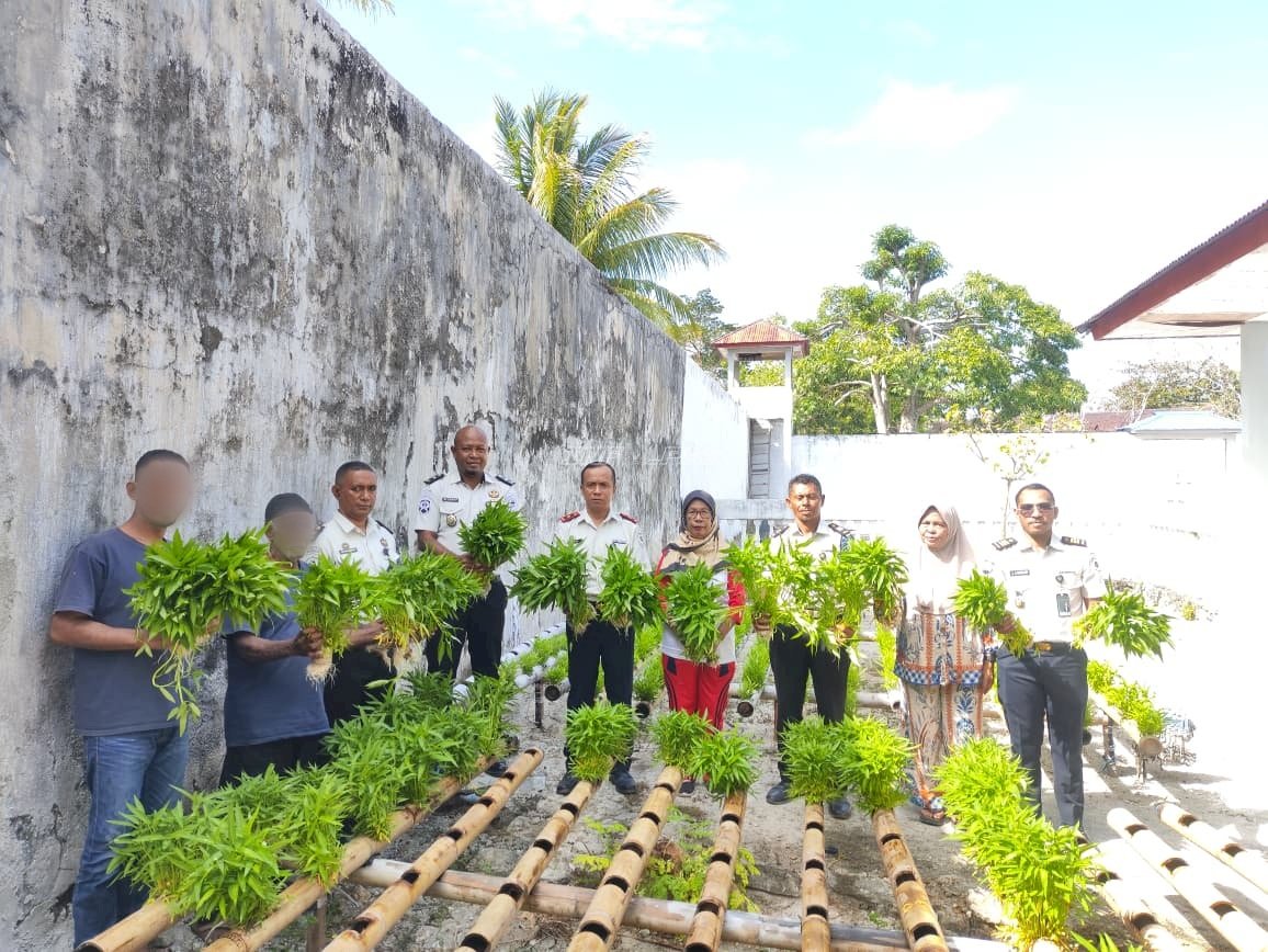 Warga Binaan Lapas Geser Panen 170 Ikat Kangkung Hidroponik