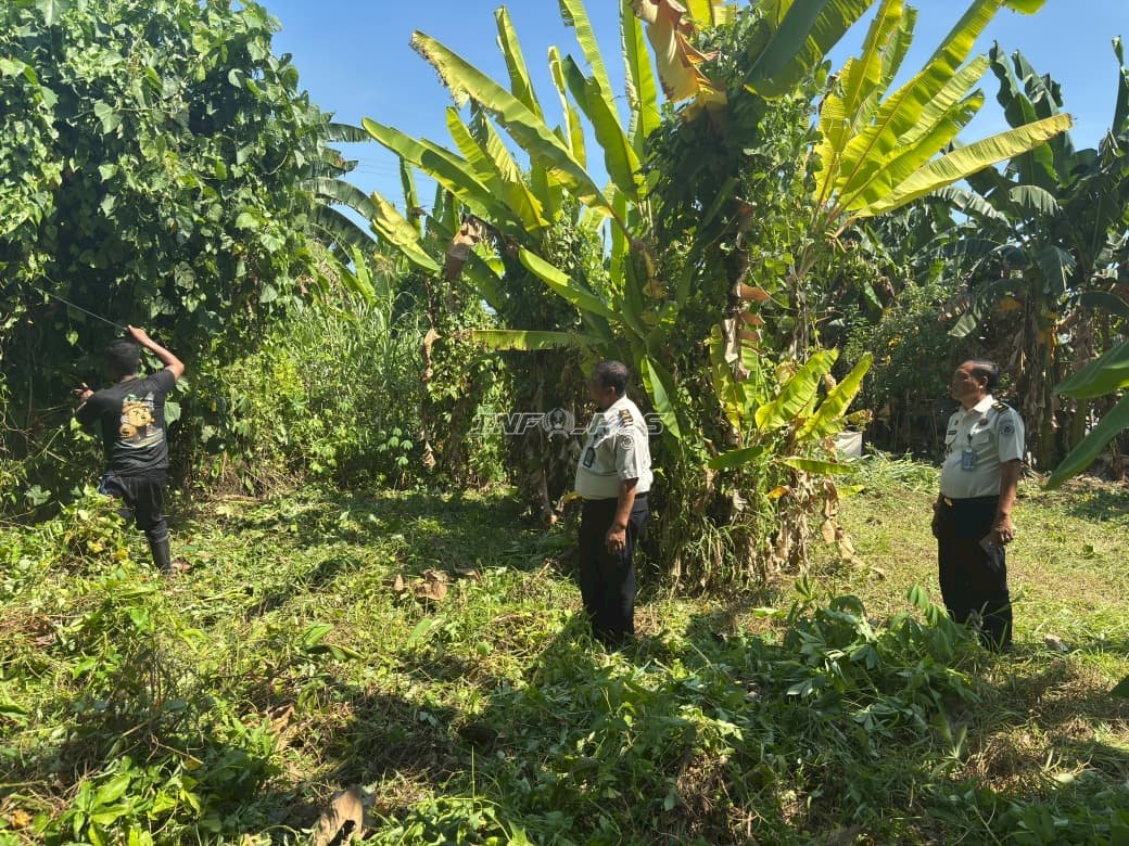 Lapas Tolitoli Buka Lahan 882 Meter Persegi untuk Ketahanan Pangan