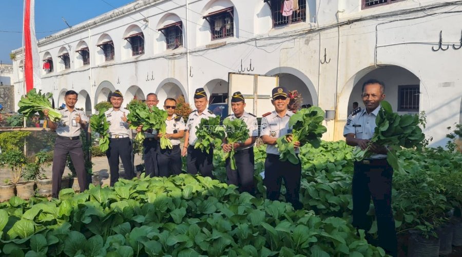 Panen 30 Kilogram Sawi, Lapas Ambarawa Perkuat Komitmen Ketahanan Pangan