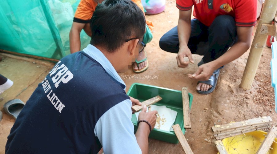 Dari Budidaya, Lapas Batulicin Panen 12 Gram Maggot Produktif