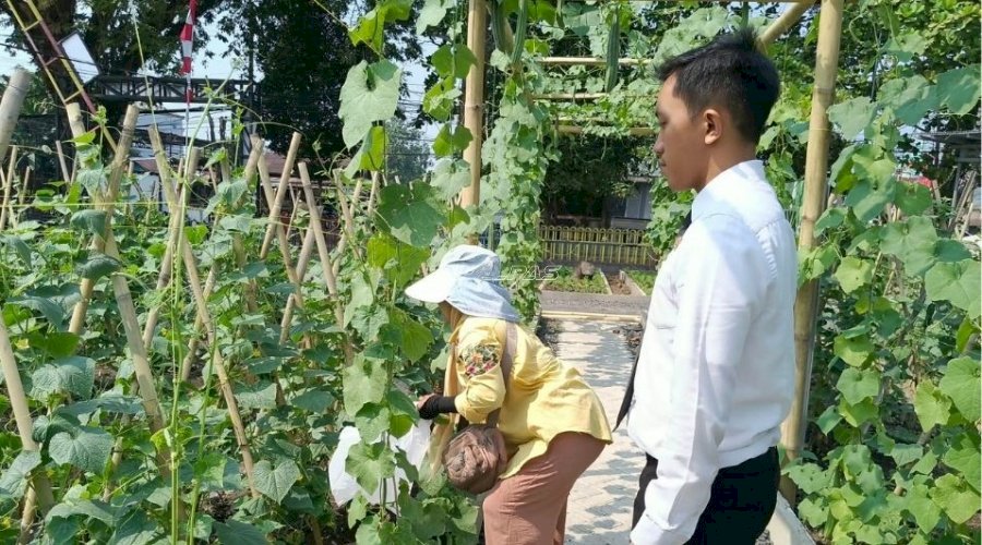 Serasa Wisata, Pedagang Pecel Petik Sendiri Timun di SAE 1 Lapas Banjarmasin