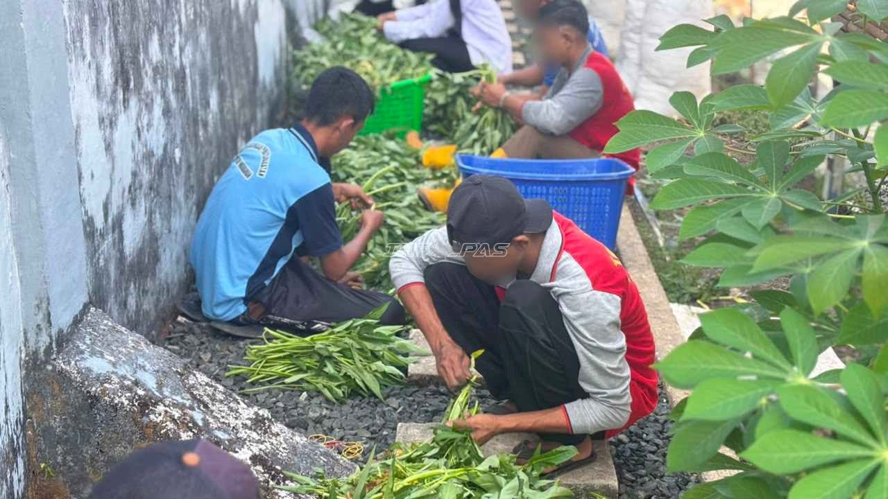 Optimalkan Lahan Pertanian, Rutan Marabahan Panen Beragam Sayuran