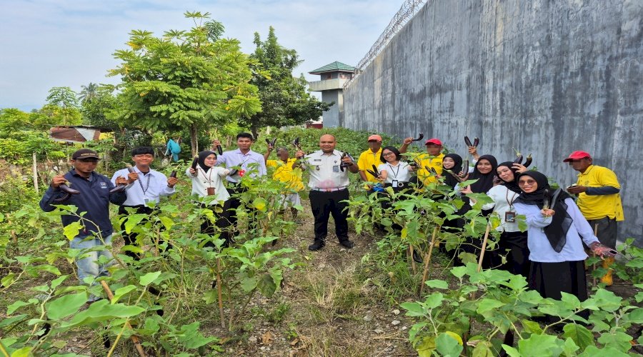 Berkah dari Kebun Sendiri, Lapas Parigi Panen 14 Kg Terung untuk Pasok Dapur Warga Binaan