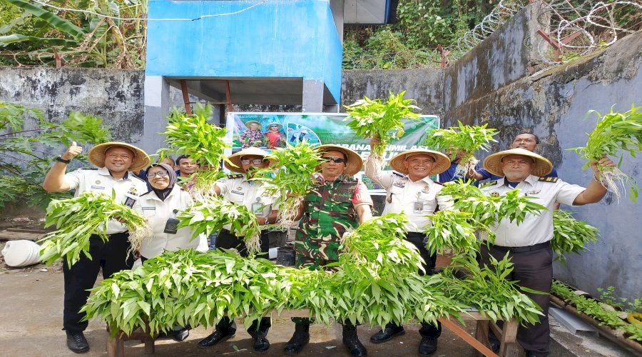 Optimalkan Lahan Brandgang, Lapas Bandanaira Panen 40 Ikat Kangkung