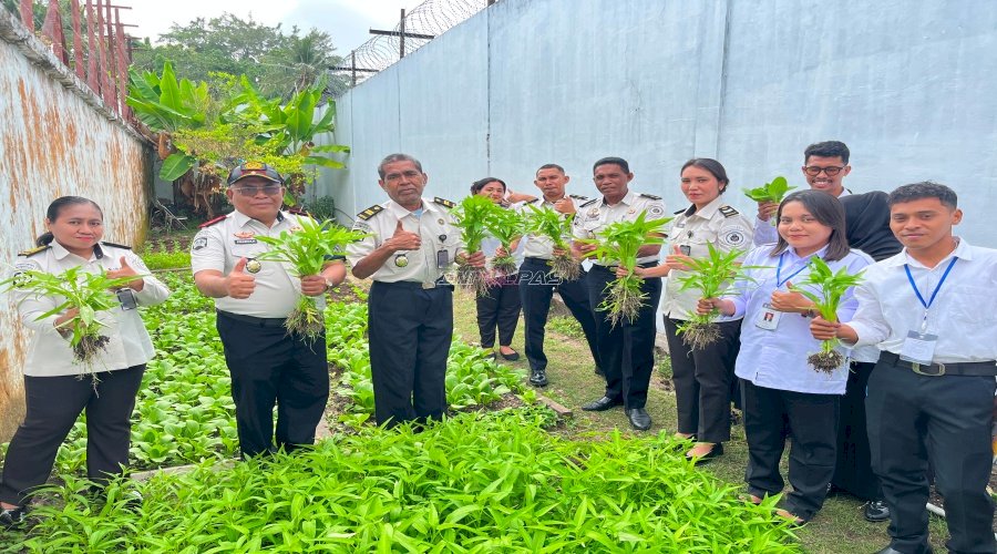 Dukung Ketahanan Pangan, Panen Raya Lapas Saparua Hasilkan 71 Ikat Sayur