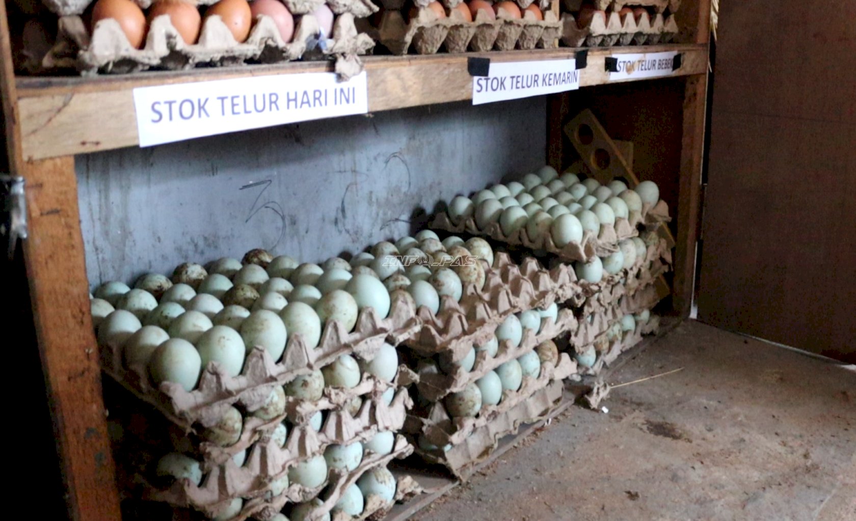 Lapas Batulicin Panen 86 Butir Telur Bebek dari Pembinaan Kemandirian