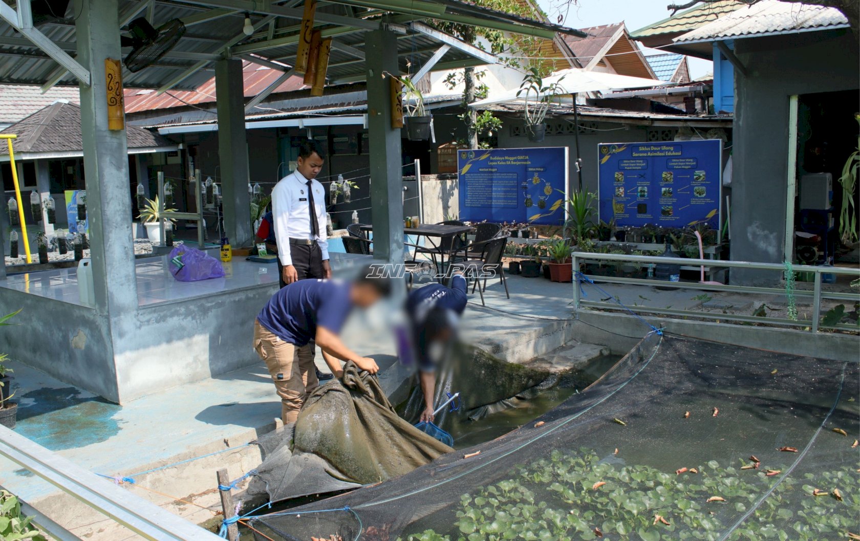 Hasil Budidaya Terserap, SAE 2 Lapas Banjarmasin Panen 11 Kg Lele
