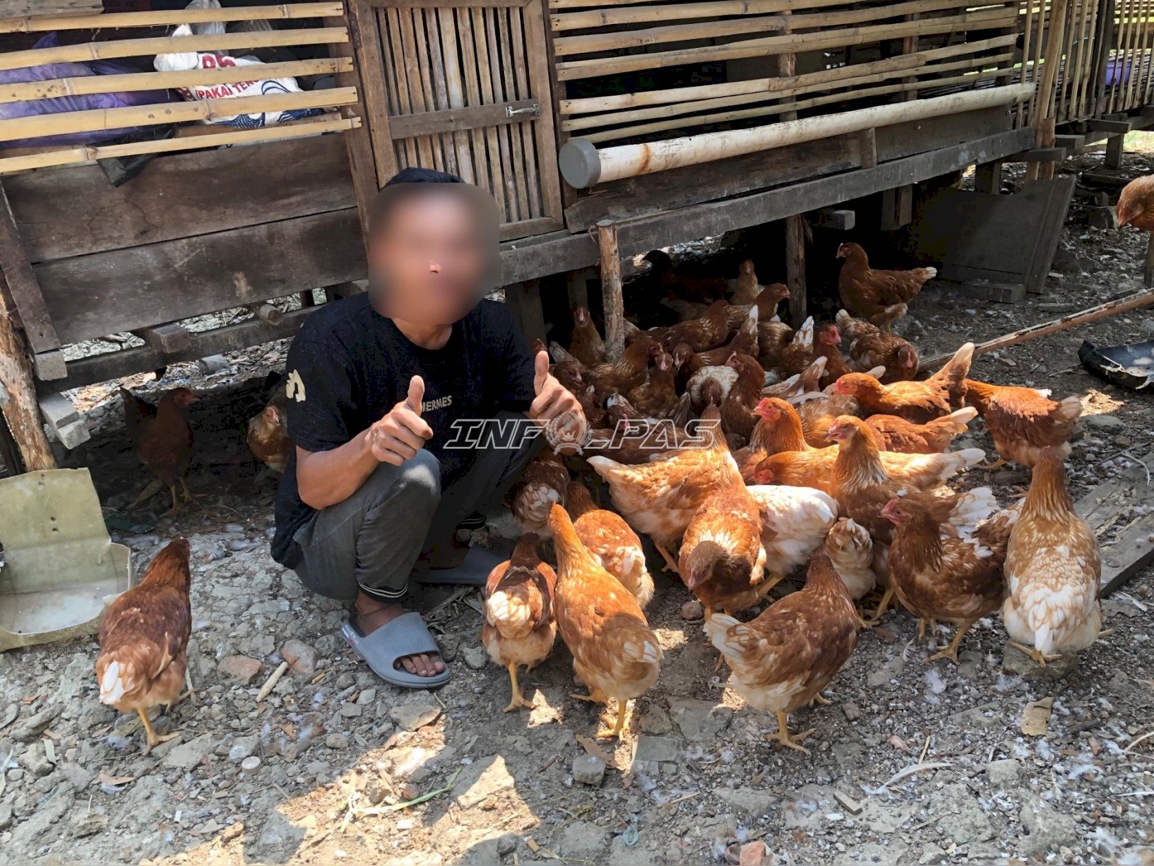 Bapas Amuntai Dorong Mantan Klien Tak Menyerah, Kini Tekuni Budidaya Ayam Petelur