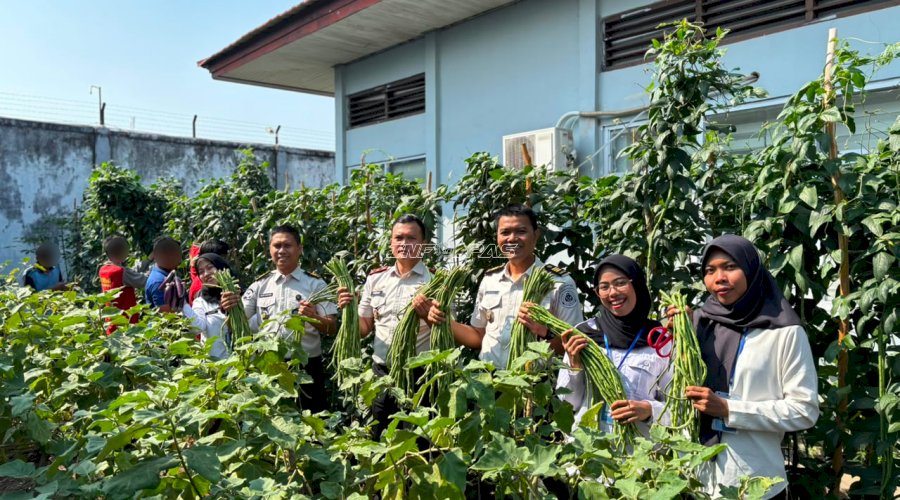 Panen Perdana bersama Karutan Baru, Rutan Marabahan Perkuat Kemandirian Pangan Warga Binaan
