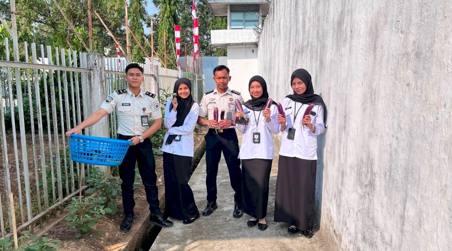 Panen Melimpah di Rutan Barabai Hasilkan 27 Kilogram Terung dari Kebun SAE