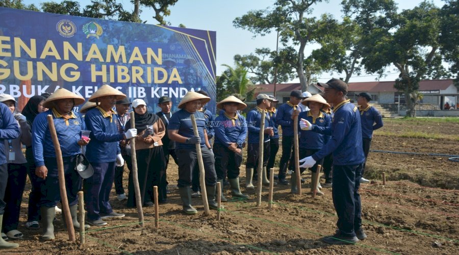 Optimalkan Produktivitas Lahan, Lapas Terbuka Kendal Mulai Tanam Jagung Periode Kedua