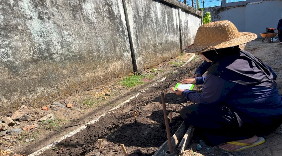 Budidaya Mentimun, Peserta Magang dan Warga Binaan Lapas Perempuan Martapura Laksanakan Penanaman Benih 
