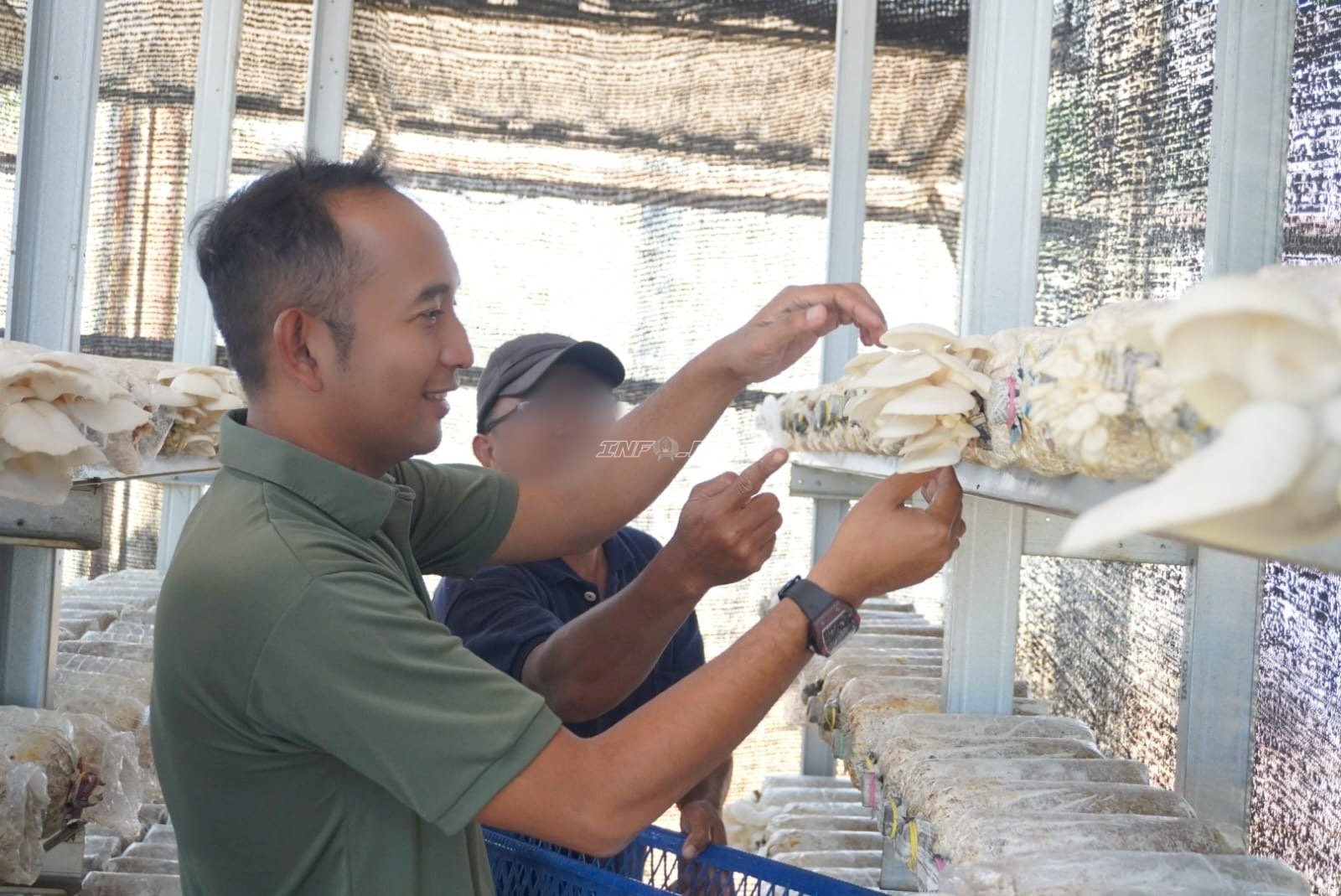 Panen 5 Kg Jamur Tiram, Lapas Banjarbaru Dorong Kemandirian Pangan Warga Binaan