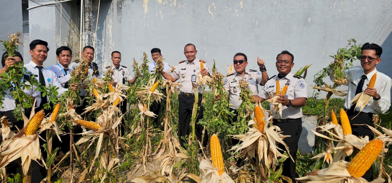 Lapas Pangkalpinang Panen Jagung Pipil dan Kacang Tanah dari Lahan Marginal