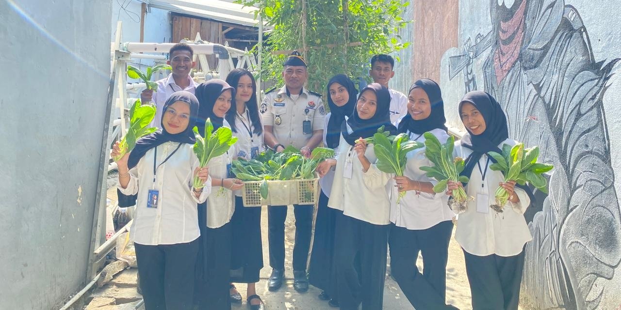 Penuhi Kebutuhan Dapur, Lapas Wahai Panen Sawi bersama Peserta Magang