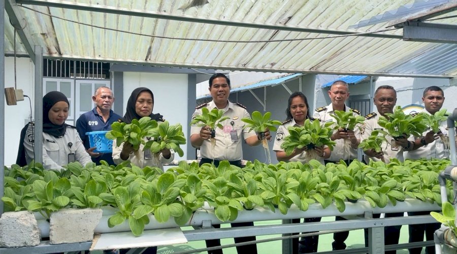 Produktif dan Berkelanjutan, Rutan Ambon Kembali Panen Pakcoy Hidroponik
