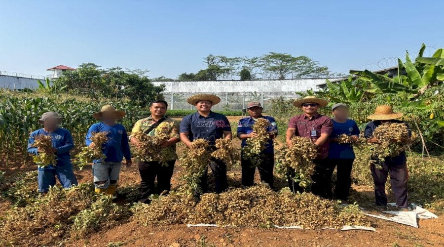 Lapas Banjarbaru Panen 50 Kilogram Kacang Tanah di Lahan SAE