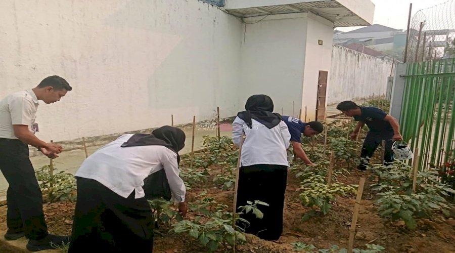 Panen Lagi, SAE Rutan Barabai Hasilkan 25 Kilogram Tomat dan Terung