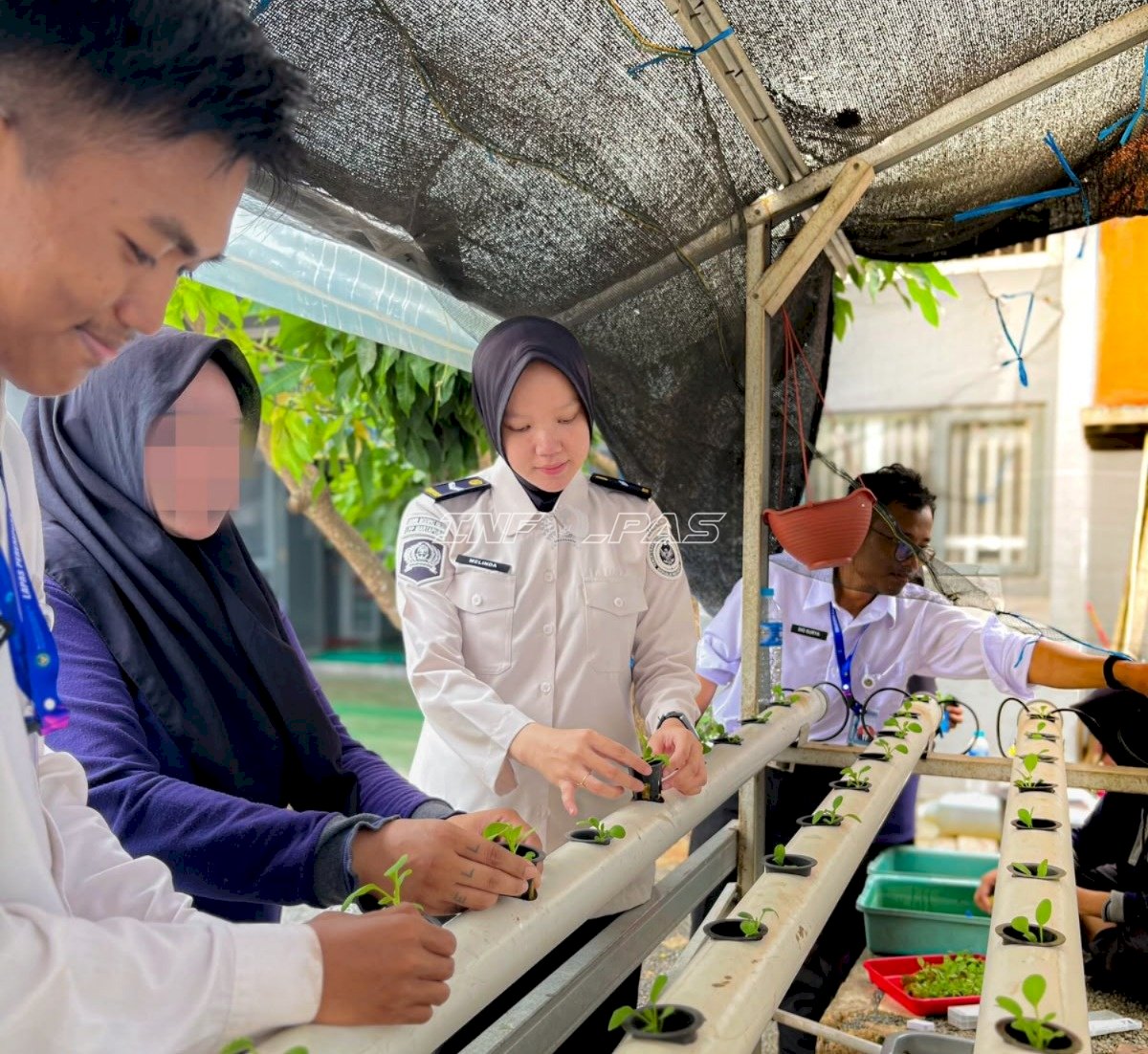 Kembangkan Pertanian, Warga Binaan Lapas Perempuan Martapura Belajar Hidroponik dan Pengolahan Tanah
