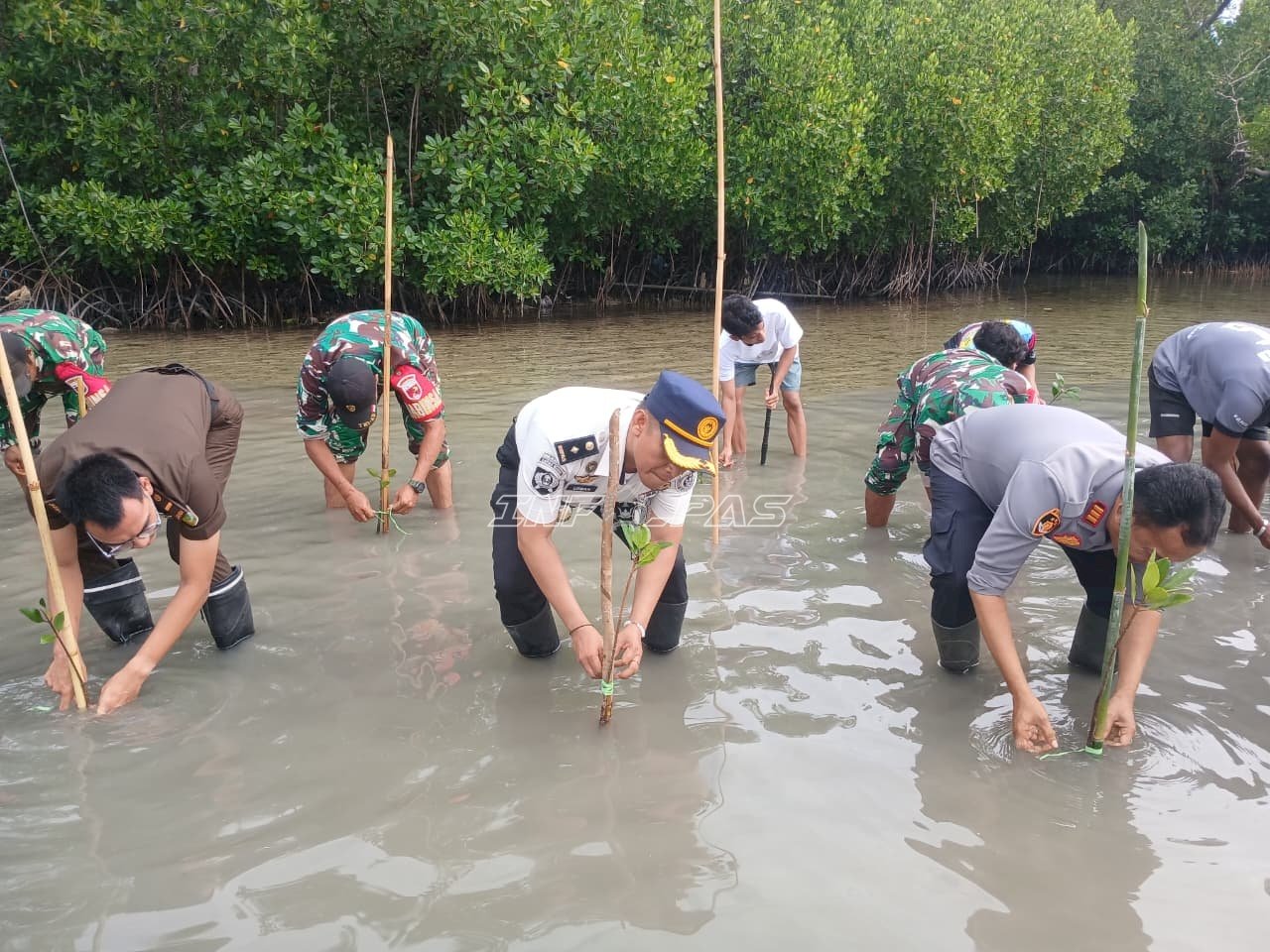 Lapas Wahai Dukung Pelestarian Lingkungan melalui Penanaman Mangrove bersama TNI