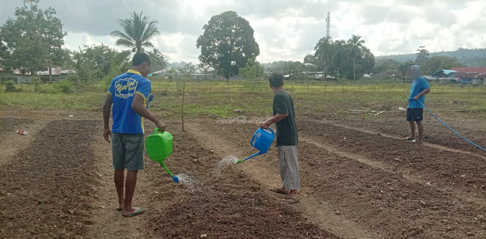 Manfaatkan Lahan Pertanian, Warga Binaan Rutan Masohi Tekuni Budidaya Kacang Tanah