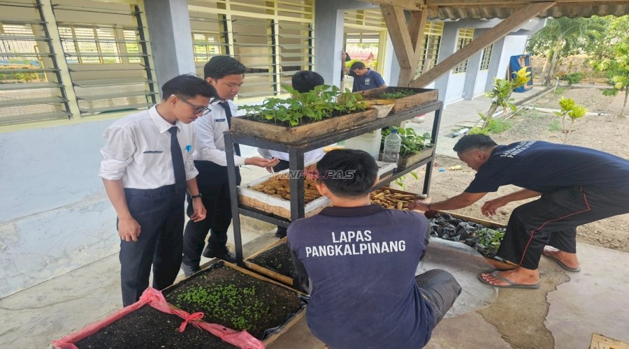  Warga Binaan Lapas Pangkalpinang Ubah Bonggol Jagung Jadi Budidaya Jamur