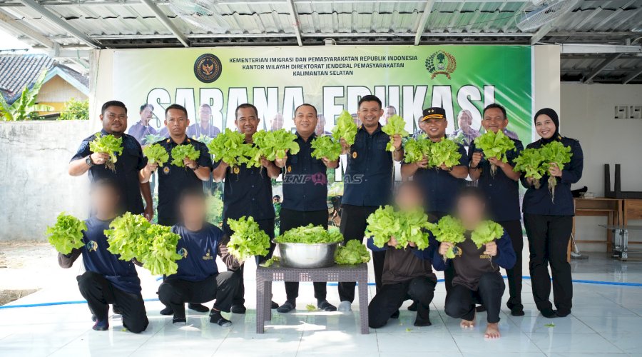Tumbuh Bersama di SAE, LPKA Martapura Panen Selada Hasil Pembinaan Anak Binaan