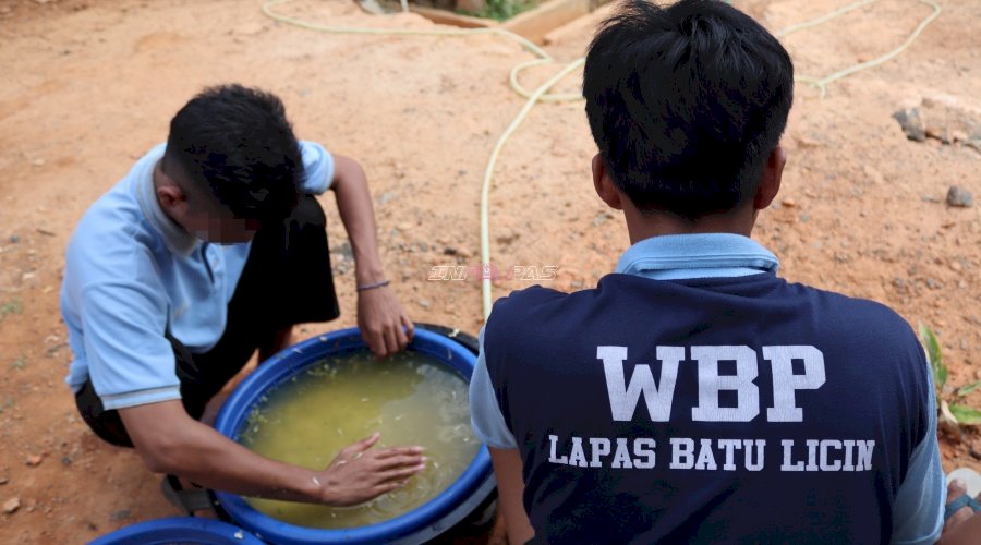 Lapas Batulicin Kembali Produksi 17 Kg Tauge, Pembinaan Kemandirian Terus Bergerak