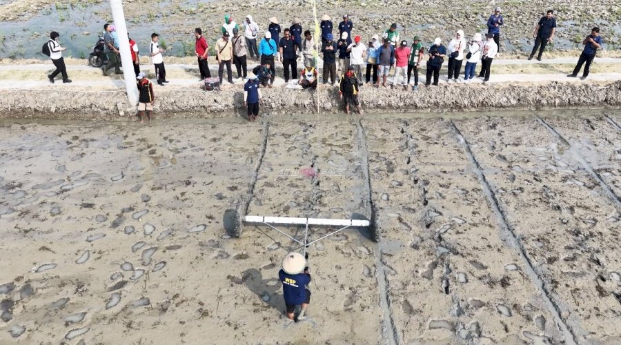 Lapas Purwodadi Turut Sukseskan Tanam Padi Serentak Dinas Pertanian se-Jawa Tengah