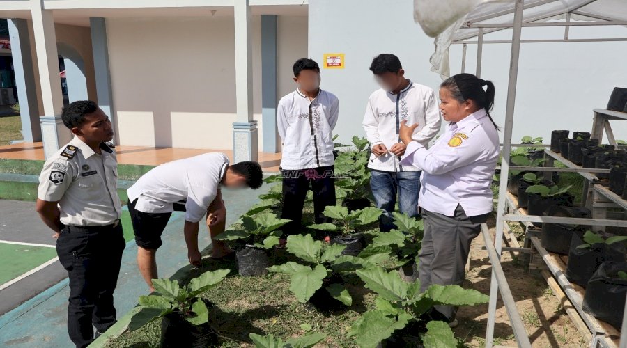 Budidaya Pertanian, LPKA Ambon Ajarkan Anak Binaan Pemberian Pupuk Organik Cair 