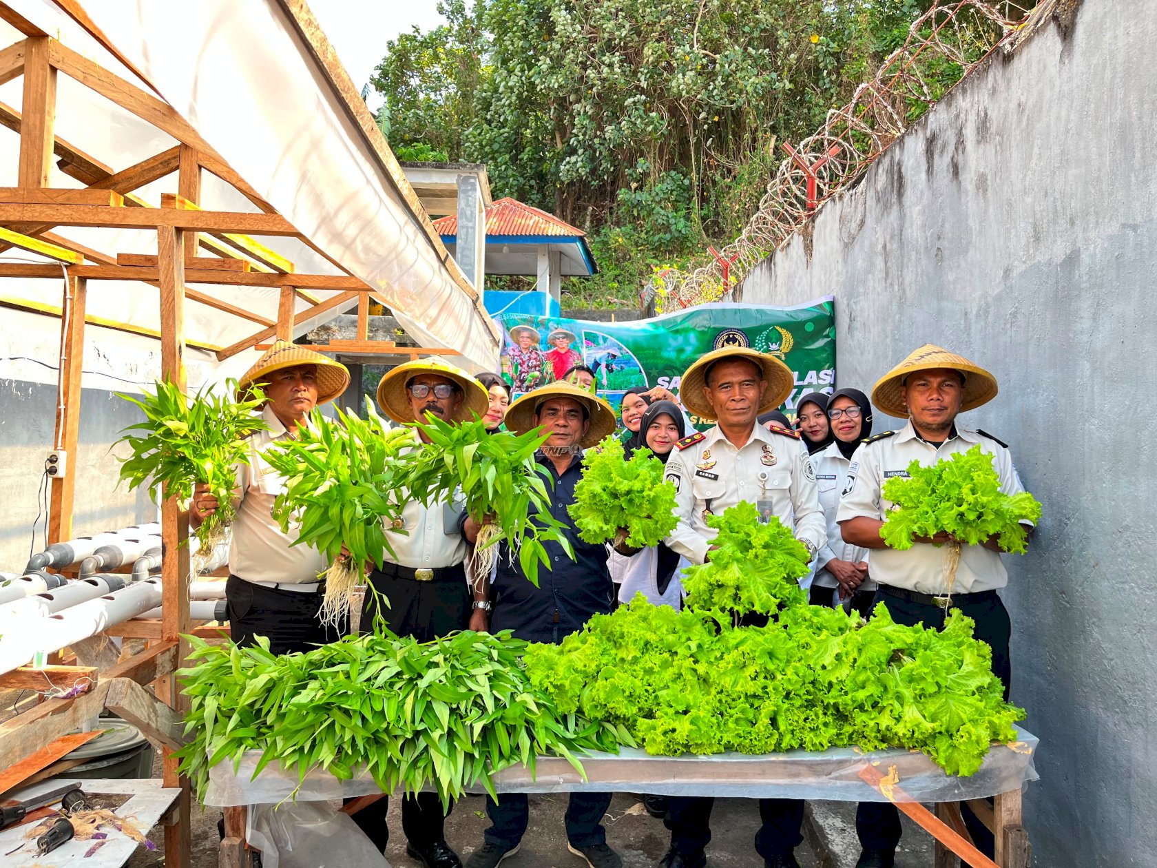 Panen 35 Ikat Sayuran Hidroponik, Lapas Bandanaira Perkuat Program Ketahanan Pangan ‎