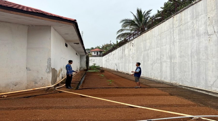 Usai Panen, Lapas Kolonodale Siapkan Bibit untuk Penanaman Berikutnya