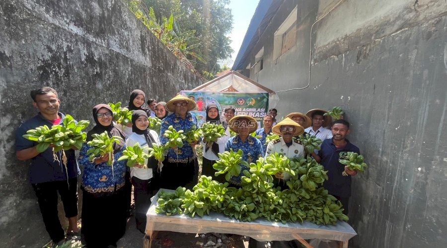 Produktif dan Berkelanjutan, Lapas Bandanaira Kembali Panen Sayuran Hidroponik