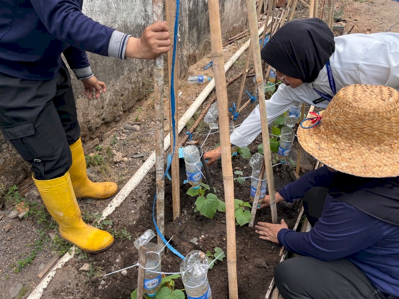 Bekali Keterampilan Bertani, Lapas Perempuan Martapura Ajarkan Pemasangan Turus Mentimun