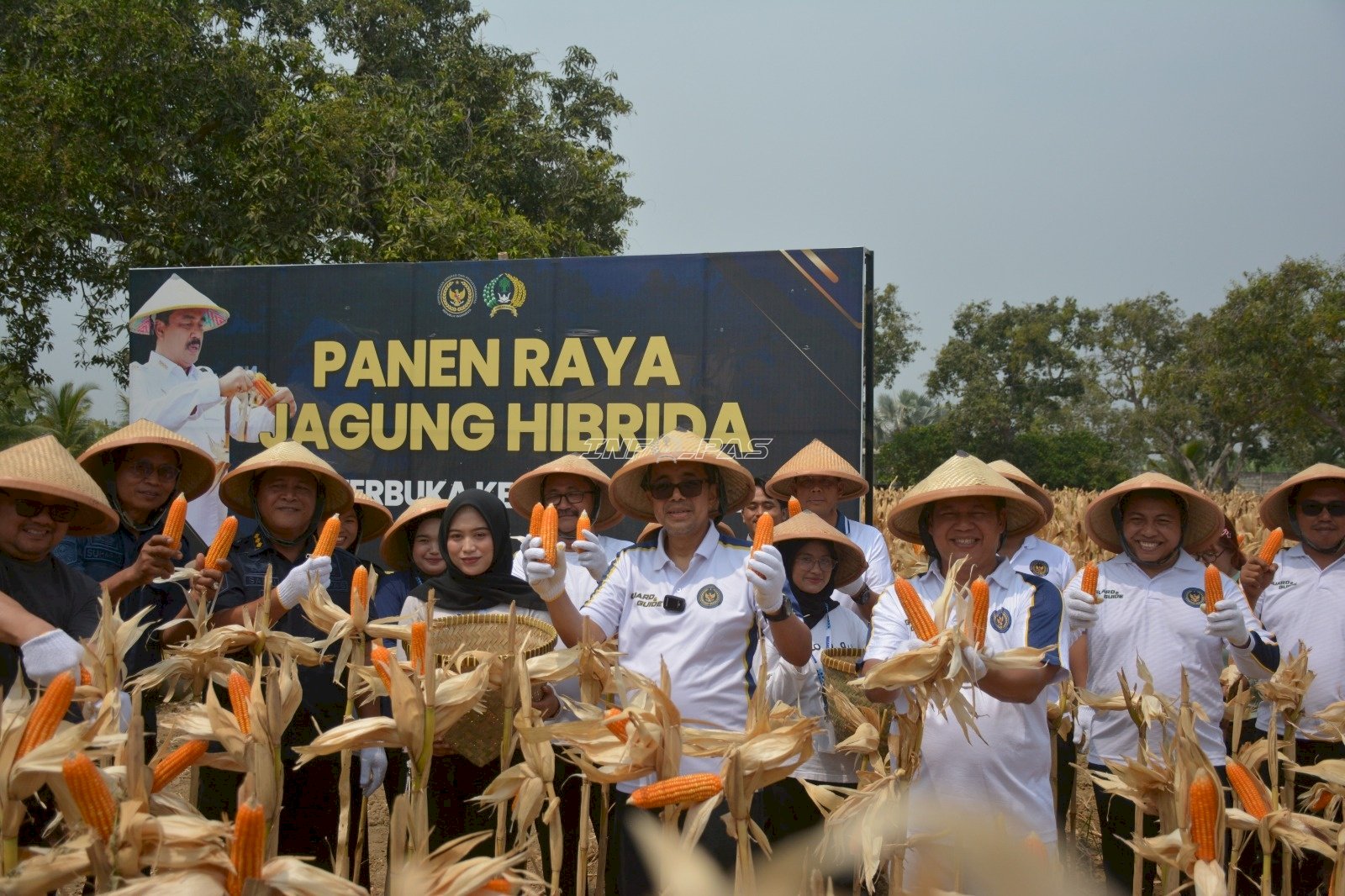 Lapas Terbuka Kendal Panen Jagung dan Kembangkan 74 Pohon Mangga Premium